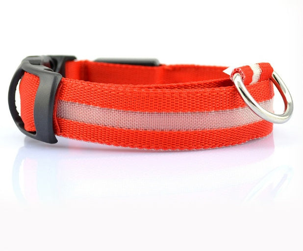 LED Dog Collar – USB Rechargeable Night Safety Light-Up Collar