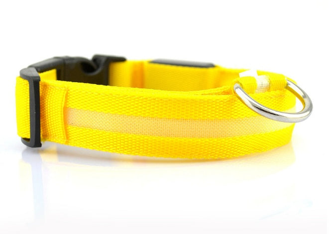 LED Dog Collar – USB Rechargeable Night Safety Light-Up Collar