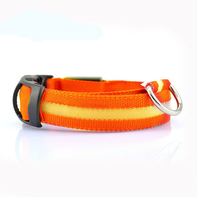 LED Dog Collar – USB Rechargeable Night Safety Light-Up Collar