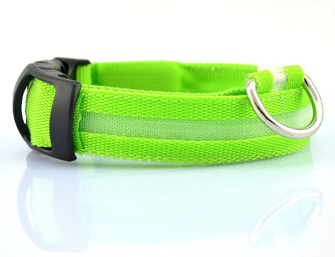 LED Dog Collar – USB Rechargeable Night Safety Light-Up Collar