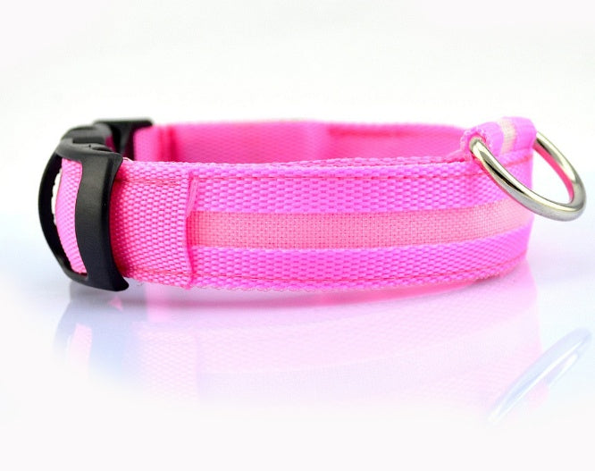 LED Dog Collar – USB Rechargeable Night Safety Light-Up Collar