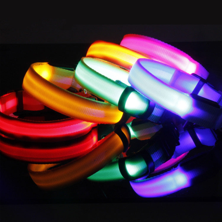 LED Dog Collar – USB Rechargeable Night Safety Light-Up Collar