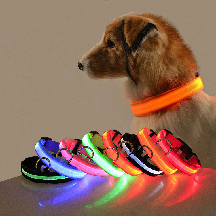LED Dog Collar – USB Rechargeable Night Safety Light-Up Collar