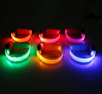 LED Dog Collar – USB Rechargeable Night Safety Light-Up Collar
