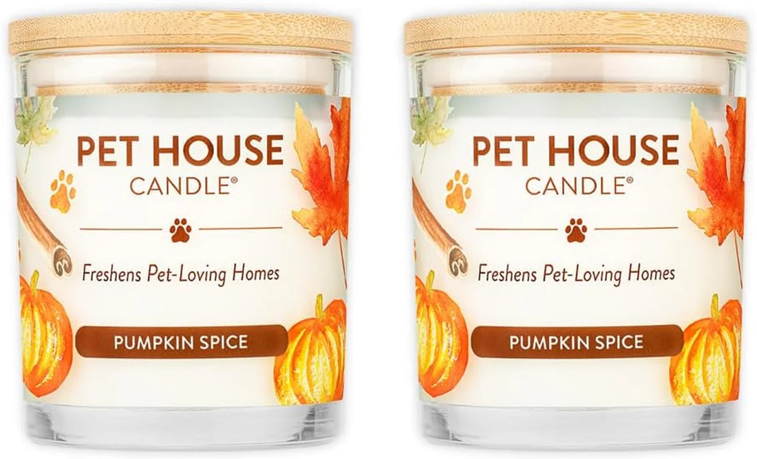 Is a Pet Odor Candle Worth It? An Honest Answer