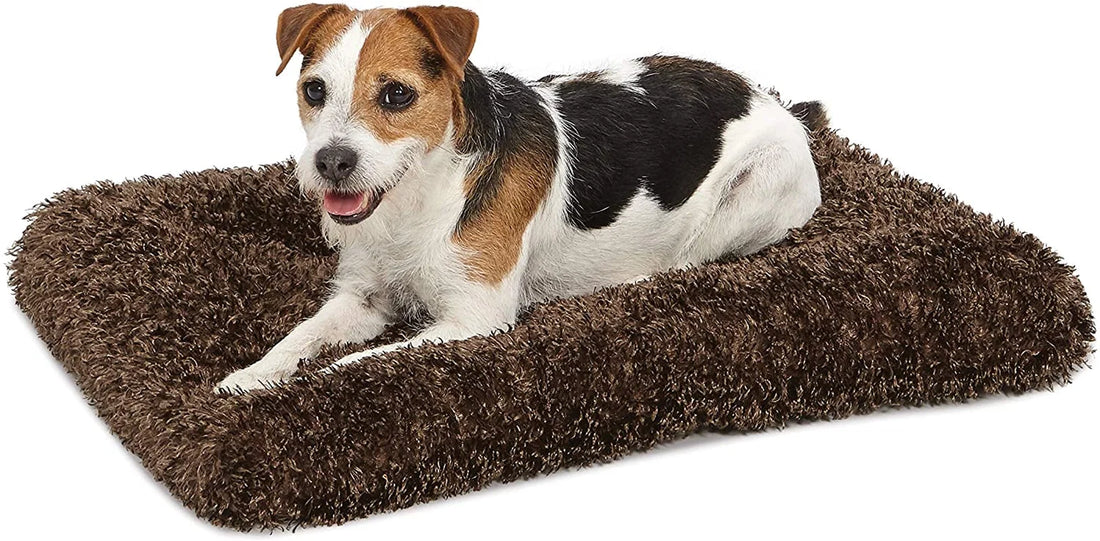 Is Small Quiettime Deluxe Coco Chic Worth It?