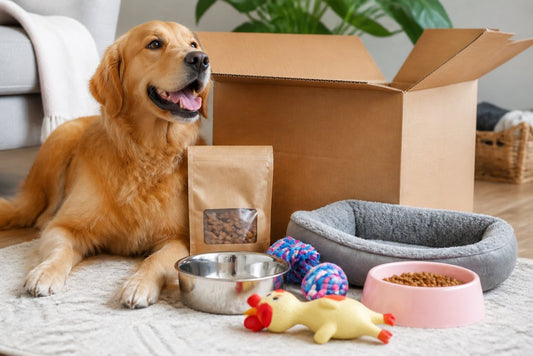 Best Online Pet Stores With Fast Delivery