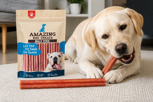 Durable Enrichment Toys for Heavy Chewers