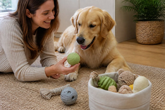 How to Choose Safe Non-Toxic Dog Toys: A 2026 Guide