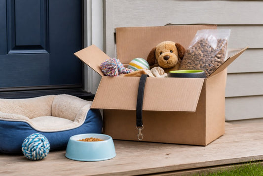 Next Day Delivery Pet Supplies Online: Top Services 2026
