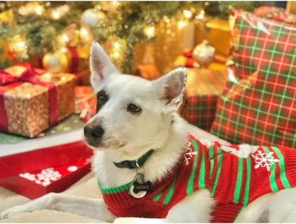 Dog Snowman Sweater - Xmas, New Year & Christmas Sweater for Small Dog & Cat (Snowman, XXL)