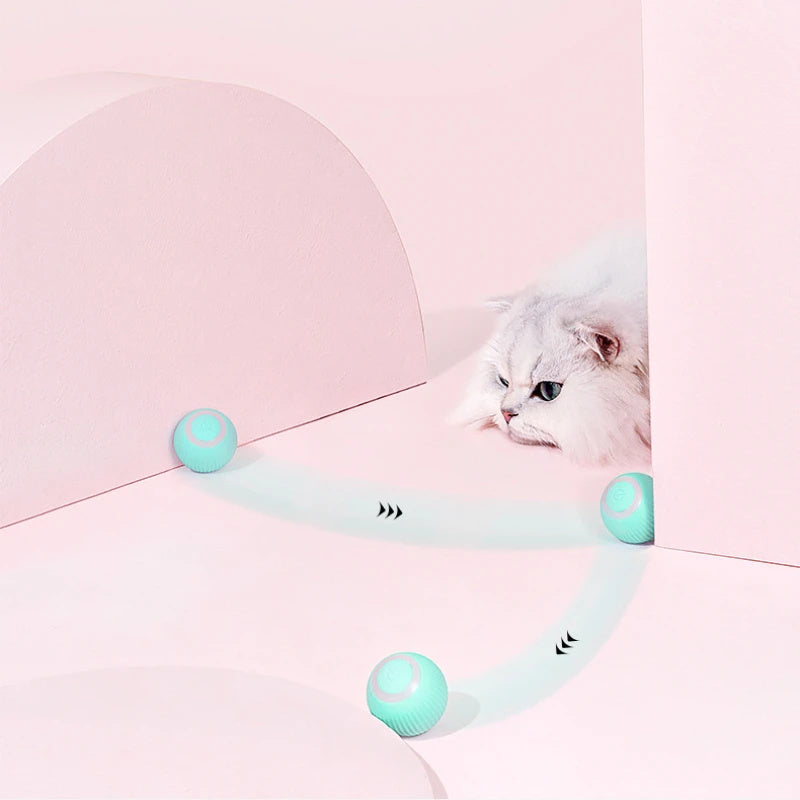 Interactive Cat Chase Toy – Remote-Controlled USB Rechargeable Car